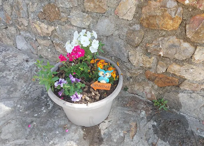 Les Lavandes De Capluc Lejlighed